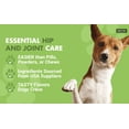 thumbnail image 3 of Liquid-Vet Bien-Être Articulaire Glucosamine à Action Rapide pour Chiens – Saveur de Poulet, Supplément pour la Santé des Articulations, 16 oz, 3 of 8