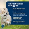 thumbnail image 4 of Blue Buffalo Life Protection Formula Puppy Dry Dog Food, Chicken & Brown Rice 2.2kg, 4 of 12