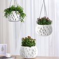 thumbnail image 1 of Zenithome Panier de Plantation Suspendu en Rotin avec Conception de Barrière à l'Eau Empêche la Rotation des Racines Pot de Plante en Plastique Intérieur Extérieur pour Succulentes Lierre, 1 of 6