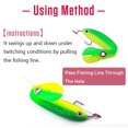 thumbnail image 3 of pitrice 10Pcs Lure Bait Fishing Soft Loach Artificial Bass Tackle Fake Goods Moving Bouncing Sinking Swimming Accessory A Small, 3 of 9