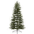 thumbnail image 1 of National Tree Company Montgomery 6.5' Clear Pre-lit Half Christmas Tree, 1 of 9