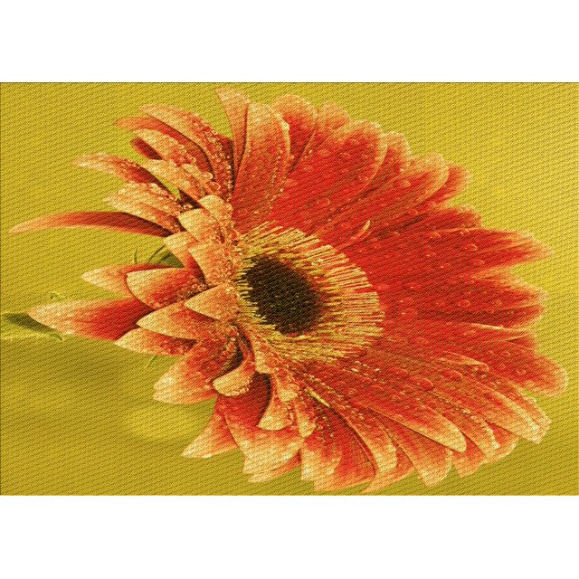 Ahgly Company Tapis Rectangulaire Lavable en Machine Intérieur Transitionnel Rouge Écarlate, 5 Pieds x 8 Pieds