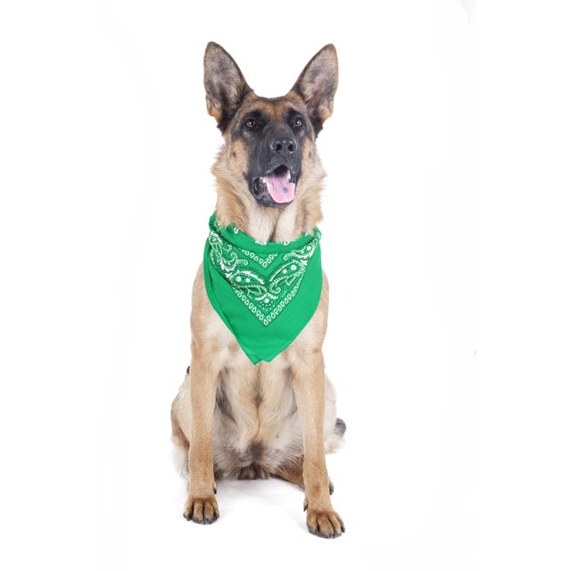 2 Pack Paisley Polyester Pets Dogs Bandana Triangle Shape - Oversized (Green)