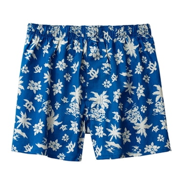 Ketyyh-chn99 Mens Thongs Underwear 2024 Cotton Trunks Underpants Mens Loose Fitting Underwear Pure Cotton Home Sleepwear Angle Breathable Large Shorts Blue,M