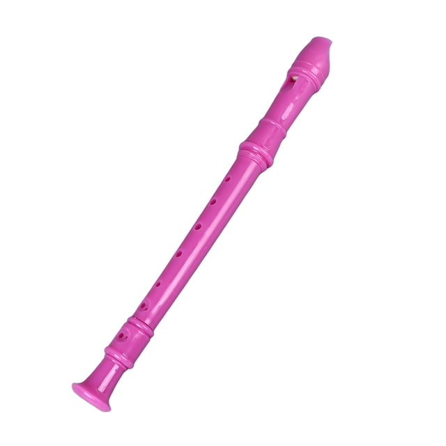 Descant Recorder, 8 Hole Versatile Soprano Recorder Small for Students for Classroom Playing Rose Red,Cyan,Blue,Coffee