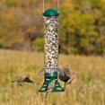 thumbnail image 4 of Perky-Pet Squirrel Slammer Wild Bird Feeder, 4 of 9