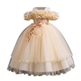 thumbnail image 1 of Ashirexll Robe de Performance Sans Manches pour Filles Jupe Tutu en Maille Col Rond Robe Trapèze Formelle pour Hôte Fête Tenue de Danse Âge 3-14 Ans Beige 5 Ans, 1 of 3