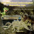 thumbnail image 4 of Flmtop Dinosaur Fossil Skeleton Excavation Dig up Kit DIY Assembly Educational Kids Toy, 4 of 10
