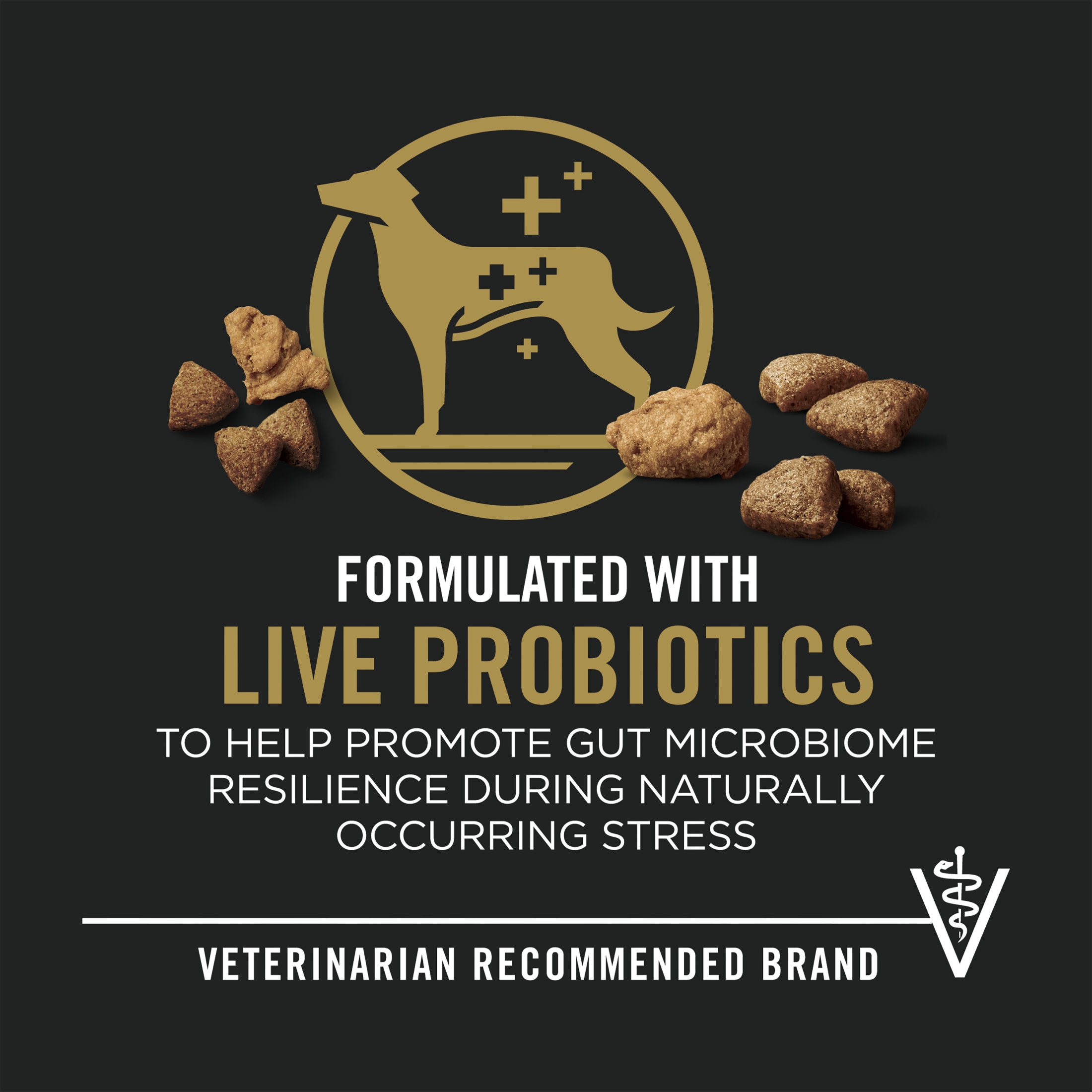 Purina Pro Plan Complete Essentials Bouchées à la viande Saumon et riz, Nourriture Sèche pour Chien, 15 kg
