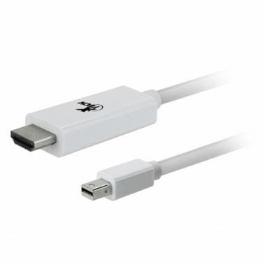 Xtech - Câble AV Mini DisplayPort Mâle vers HDMI Mâle 6 Pieds Blanc