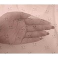 thumbnail image 4 of oneOone Viscose Chiffon Fabric Cat Face Animal Decor Fabric Printed BTY 42 Inch Wide, 4 of 4