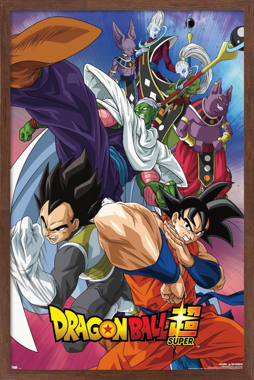 Dragon Ball : Super - Groupe