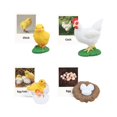 thumbnail image 3 of thinsony Figurines de Cycle de Vie Jouet Éducatif Réaliste pour Fête Poulet, 3 of 9