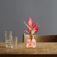 thumbnail image 4 of Indoor Plant Pots 13.5 cm x 10 cm x 5.5 cm Transparent Hydroponic Plastic Flower Pot With Water Storage Capacity For Desktop And Living Room Use, 4 of 8