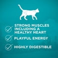 thumbnail image 4 of Purina ONE True Instinct Grain Free Chicken, Dry Cat Food 1.45kg, 4 of 9