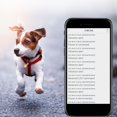 thumbnail image 1 of Cameland Dog Gps T-Racker Real Time Pet Gps T-Racker Location and Activity T-Racking Collar with Alarm For Dogs and Cats App Control, 1 of 7