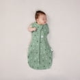 thumbnail image 5 of ergoPouch - Cocoon Swaddle Sack 1tog, 5 of 5