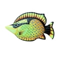 thumbnail image 1 of XZNGL Iron Fish Hanging Decoration Garden Home Crafts Decoration Fish Wall Hanging, 1 of 8
