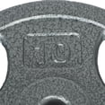 thumbnail image 3 of Disque de musculation avec prises GoZone – Argent, 3 of 3