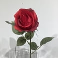 thumbnail image 3 of Red Rose Bud, 3 of 3