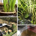 thumbnail image 3 of Solar Powered Submersible Water , Solar Fountain, For Pond, 3 of 8