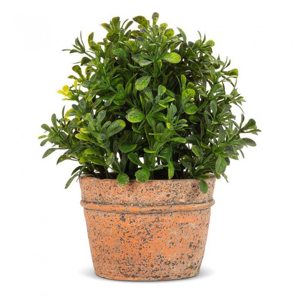 Set of 6 Boxwood Plant In Natural Pot Faux Plants And Trees