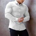 thumbnail image 2 of Pompotops Men Casual Solid Turn-down Collar Button Long Sleeve Shirt on Sale, 2 of 8