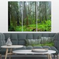 thumbnail image 1 of Hoh Rain Forest - Landscape Photography Canvas Art Print, 1 of 3