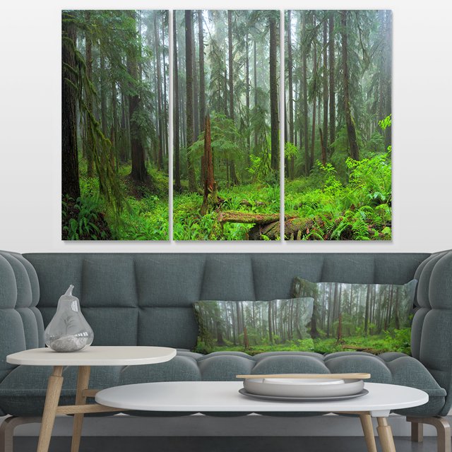 Hoh Rain Forest - Landscape Photography Canvas Art Print