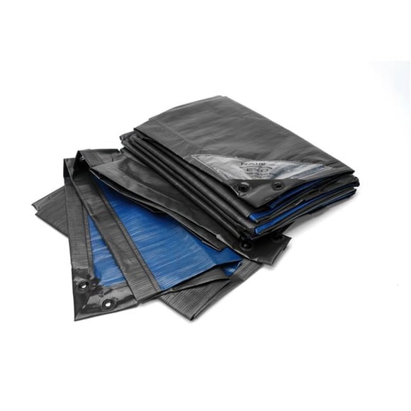 Bio Green RX-150-8x10-GB 8 x 10 ft. Rainexo 150 GSM Heavy Duty Tarpaulins - Green & Blue