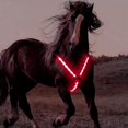 thumbnail image 2 of thinsony Adjustable LED Horse Breastplate Collar High Visible Outdoor Harness Red, 2 of 9