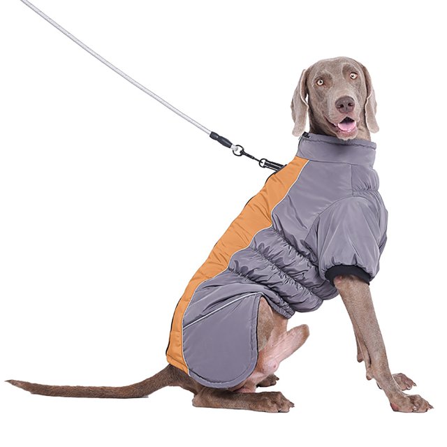 SIfdSeng Pet Clothes for Medium Dogs Boys Reflective Warm Pet Clothing Thickened Dog Clothing Large Dog Clothing Pet Clothes for Large Dogs Dog Clothes Boy Large