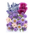 thumbnail image 1 of Vaidha Dried And Embossed Flowers For Resin Kit Candles And Crafts, 1 of 1