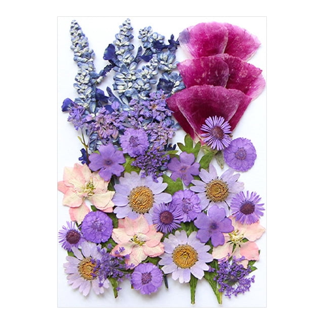 Vaidha Dried And Embossed Flowers For Resin Kit Candles And Crafts