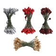 thumbnail image 1 of GUOOL 200 Pcs Baies Artificielles Double Tête DIY Artisanat Rouge Doré Rouge Foncé, 1 of 9