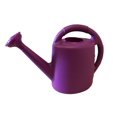 thumbnail image 1 of 2 Gallon Watering Can, 1 of 1