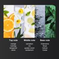 thumbnail image 4 of Ensemble de Parfums pour Hommes 25 ml 4 Pcs Longue Tenue Raffiné Léger Fragrance pour Amoureux Ami Argent, 4 of 5