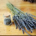 thumbnail image 4 of Natural Dried Lavender Bunch Perfect Gift for Aromatherapy and Home Dcor νс т п\, 4 of 8