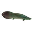 thumbnail image 4 of Realistic Static Ocean Animal Model Toy Animal Toys for Kids Gift Pirarucu, 4 of 9