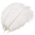 thumbnail image 1 of 10 Pcs Natural Ostrich Feather Craft Plume - For Wedding Centerpieces Home Decoration (White), 1 of 4