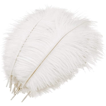 10 Pcs Natural Ostrich Feathers, Ostrich Feather Plume for Wedding Party Festival Table Centerpiece Decoration (White, 25-30cm)