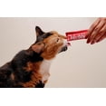 thumbnail image 3 of Delectables Squeeze up Cat Treats 48pk Jar We Cat Treat Variety Pack, 3 of 5