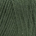 thumbnail image 2 of Red Heart® Super Saver® Yarn, Solid, Acrylic #4 Medium, 7oz/198g, 364 Yards, 2 of 2