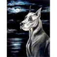 thumbnail image 1 of Carolines Treasures 7067GF Great Dane In The Moonlight Flag - Garden Size, 1 of 3