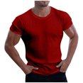 thumbnail image 1 of asjyhkr Plus Size T Shirts for Men Crewneck Knit Tops Stretchy Casual Workout Solid Basic T Shirts, 1 of 6
