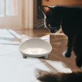 thumbnail image 1 of Shallow Cat Food Bowl Wide Dish Non Slip Cats Feeding For Whisker Fatigue, 1 of 7