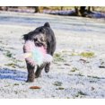 thumbnail image 3 of Multipet Plush Rainbow Yeti Dog Toy, 3 of 9