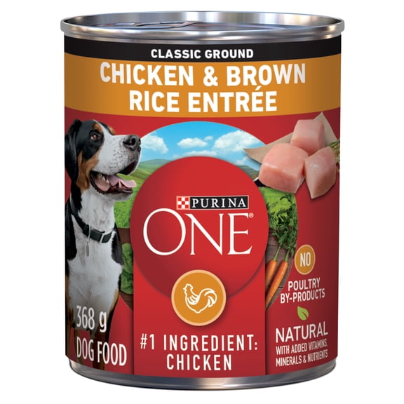 Purina ONE Moulue Classique Entrée de Poulet et Riz Brun, Nourriture Humide pour Chiens 368 g