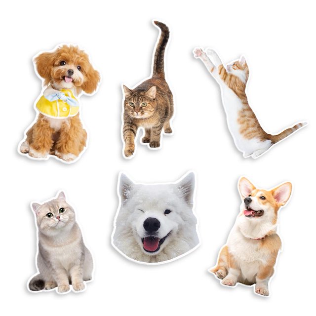 Magnetic Acrylic Cartoon Character, Cat&Dog Personalized Custom Fridga0d6 NXJ W8A5