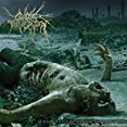 thumbnail image 4 of Hate Eternal - Infernus [Disques Compacts], 4 of 6